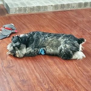 Meet your Posher, Jason